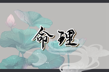 中华万年历_万年历黄历_黄历万年历老黄历2026